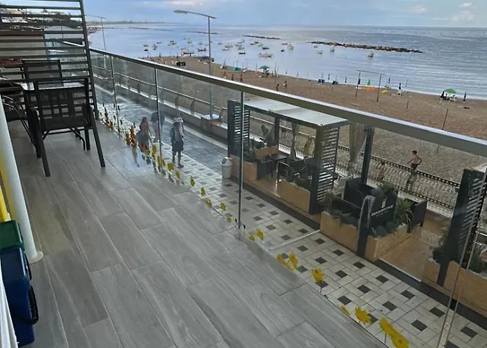 Yellow Dream 토레 멜리사